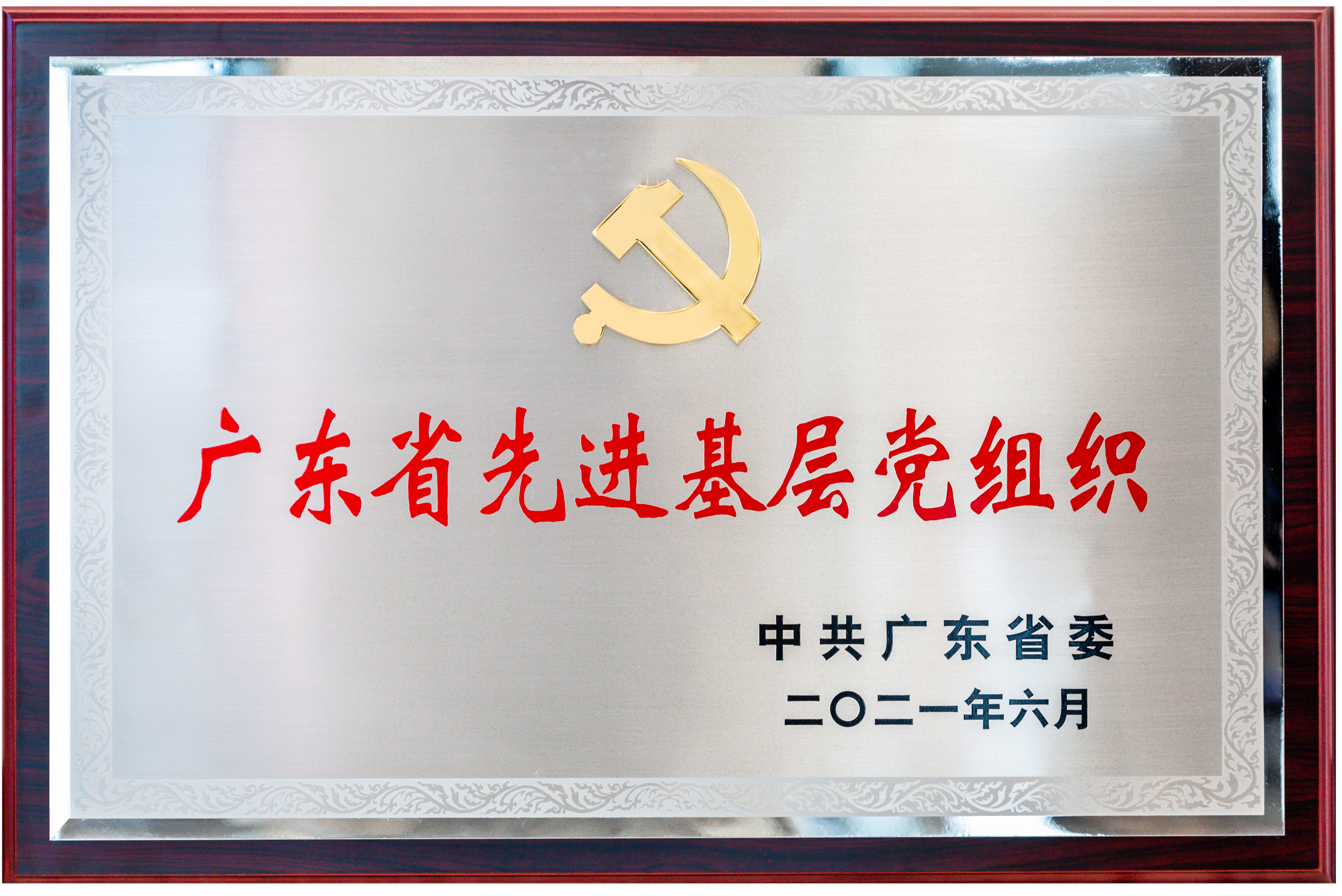 廣東省先進基層黨組織